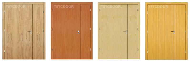 TSTC Ward Door
